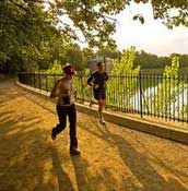 �����ܲ������ᳫ�ʵ����ܲ����ڽ���